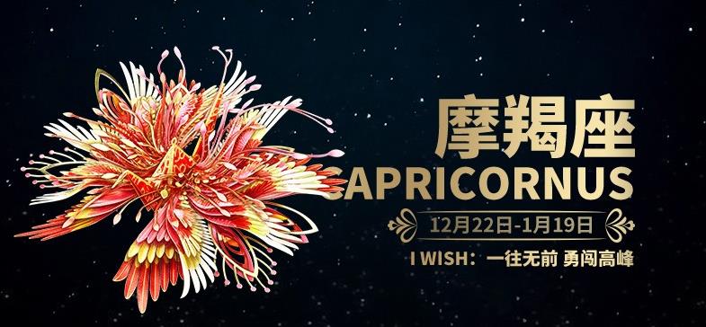 拼酷千愿鶴·星座·摩羯座